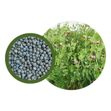 Semente de ervilha forrageira de de ervilha forrageira Seeds de 2kg Foto mini 1