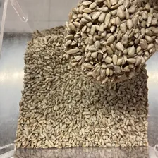 Semente De Girassol Sem Casca Pepita 500g - Produto Natural Foto mini  2