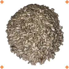 Semente De Girassol Sem Casca Pepita 500g - Produto Natural Foto  mini 1