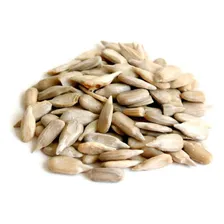 Semente De Girassol Sem Casca Pepita 500g - Produto Natural Foto mini  3