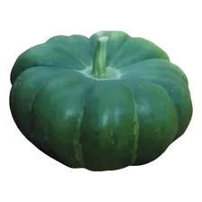 Semente  De Moranga Coroa Isla/feltrin/topseed De Unidade De 1 De 2.5g Foto  mini 1