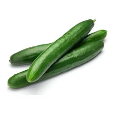 Semente De Pepino Japonês Hana 500 Sementes Feltrin Foto mini 2