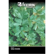 Semente Feltrin Golden Salsa Graúda Portuguesa Foto mini 1