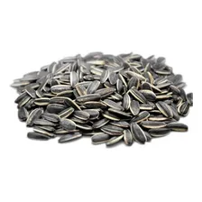 Semente Girrasol 500g Para Pássaros Aves Semente Limpnfe Foto mini 2