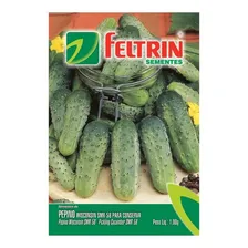 Semente Pepino Conserva 25 X 1g Foto mini 1