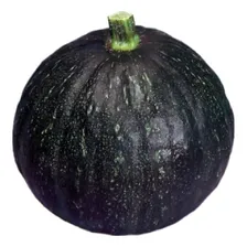Sementes Ab贸bora Cabotia Hibrida B8a F1 300g Foto mini 4