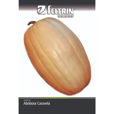 Sementes Ab贸bora Caravela Ester Foto mini 1