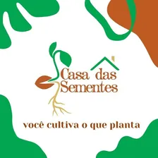Sementes Ab贸bora Caravela Ester Foto mini 2