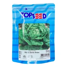 Sementes Alface Manteiga Vit贸ria Santo Antao 50g Foto mini 1