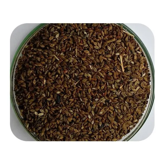 Sementes Brachiária Humidícola - Caixa Com 1,0 Kg (72%vc) Foto 1