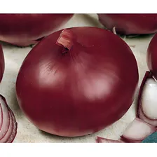 Sementes De Cebola Roxa Red Creole Pcte C/ 100 Gramas Foto mini 3