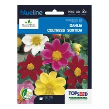 Sementes De Dahlia Coltness Sortida Env. C/ 2 Gramas Foto mini 1