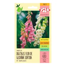 Sementes De Digitalis Flor De Gloxínia Sortida Flor Foto  mini 1