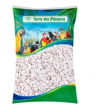 Sementes De Girassol Branco - 2,5 Kg Foto mini 1