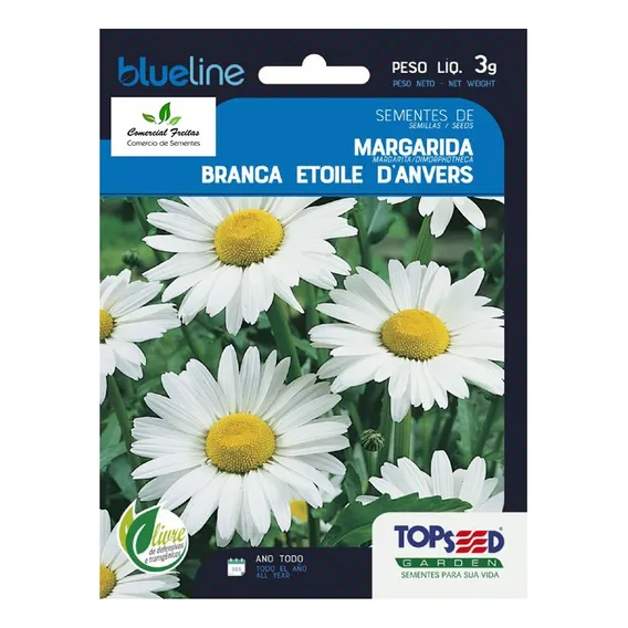 Sementes De Margarida Branca Etoile Danvers Env. C/ 3 Gramas Foto 1