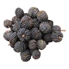 Sementes De Mutambo Mutamba Árvore Frutífera E Medicinal Foto  mini 1