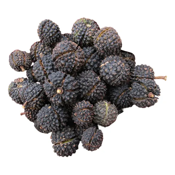 Sementes De Mutambo Mutamba Árvore Frutífera E Medicinal Foto 1