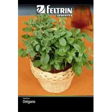 Sementes De Orégano - Contém 170 Mg Foto  mini 1