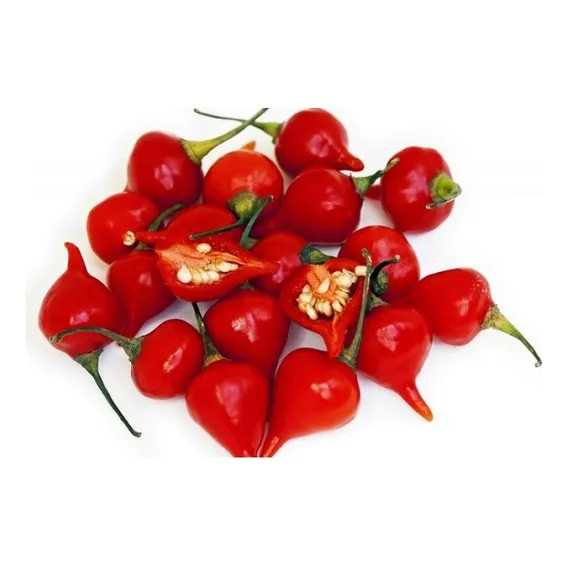 Sementes De Pimenta Biquinho Vermelha - 10 Sementes Foto 1