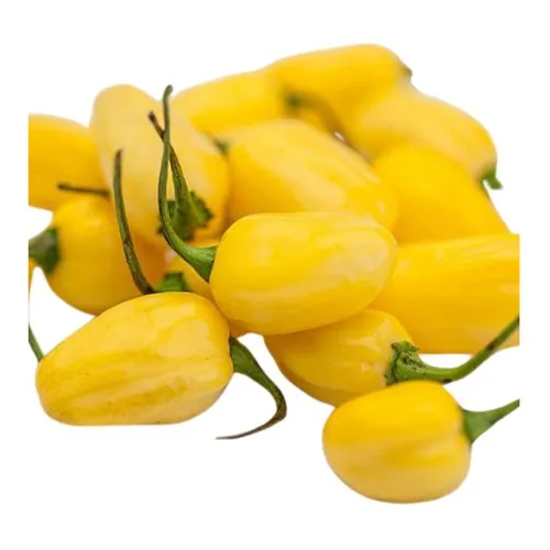 Sementes De Pimenta Guaraci Cumari Do Para 140 Sementes Foto 1