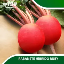 Sementes De Rabanete Ruby Hibrido Tsv 500gr Foto mini 2