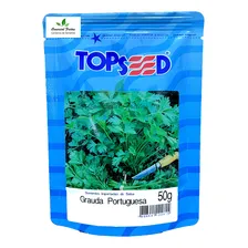 Sementes De Salsa Graúda Portuguesa Pcte C/ 50 Gramas Foto  mini 1
