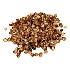 Sementes De Sorgo Brs Ponta Negra - 1kg De Sementes Foto mini  2