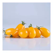 Sementes De Tomate Flavus 250 Sementes/ 425mg De Sementes Foto mini 2