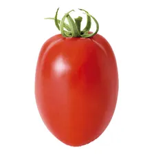 Sementes De Tomate Grazianni - 1.000 Sementes - Sakata Foto mini 1
