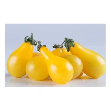 Sementes De Tomate Mini Lumen - 5 Sementes Foto mini  3