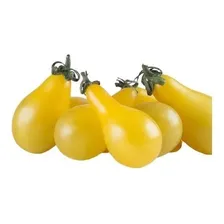 Sementes De Tomate Mini Lumen - 5 Sementes Foto  mini 1