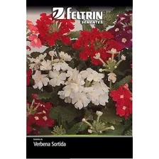 Sementes De Verbena Sortida - Contém 250 Mg Foto  mini 1