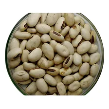 Sementes Feijão De Porco Orgânica - Saco Com 5,0 Kg Foto  mini 1