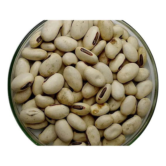 Sementes Feijão De Porco Orgânica - Saco Com 5,0 Kg Foto 1