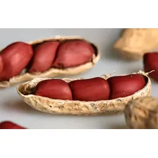 Sementes HÃbridas De Amendoim Vermelho P/ Plantio + Foto mini 3