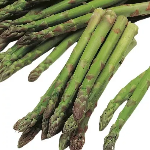 Sementes Orgânicas De Aspargo Comestível Para Plantio Foto 1