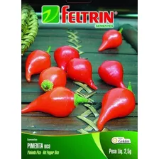 Sementes Pimenta Biquinho Bico Doce 400mg Rapido Foto mini 4