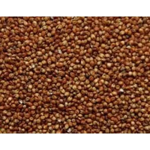 Sementes Sorgo Al Precioso 5kg + 1 Kg De Milho Iac Airam Foto 1