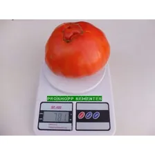 Sementes Tomate Gaúcho Topseed Foto mini 3