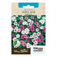 Sementes Vinca Anã Sortida Topseed Foto mini 1