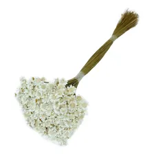 Sempre Viva Florzinha Branca I Flores Desidratadas Foto mini 3