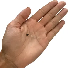 Sensor Temperatura Termistor Ntc Mf52 3mm 10k Kit 100 Peças Foto mini 3