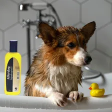 Shampoo Allerdog Hipoalergenico 230ml Foto mini 3