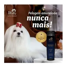 Shampoo Branqueador Pelos Claros CĂŁes E Gatos Pet Society Foto mini 2