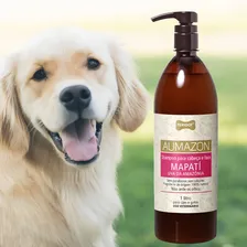 Shampoo Cabeça E Face Mapati Perigot 1l (não Arde Os Olhos Foto mini 2