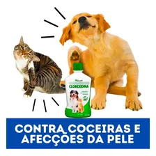 Shampoo E Condicionador Clorexidina 500  Dermatite Canina Fragrância Suave Foto mini  3