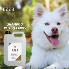 Shampoo Ezze Pelos Claros 5 Litros Para Cães E Gatos - Ezze Foto  mini 1