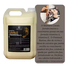 Shampoo Galão Lavatório Salão Profissional 5 Litros Foto mini 2