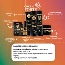 Shampoo Haskell Kit Haskell Cavalo Forte Shampoo E Condicionador 1 Litro Foto mini 4
