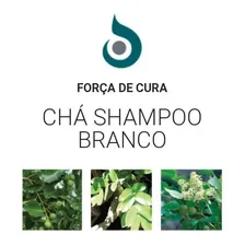Shampoo Lanza Healing Strength White Tea 300ml Foto mini  2